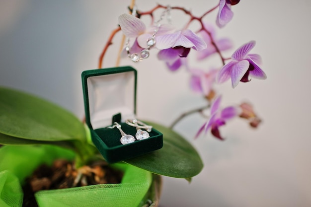 Free photo wedding accessories of bride earrings on the flower orchid